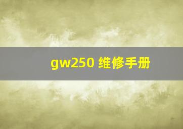 gw250 维修手册